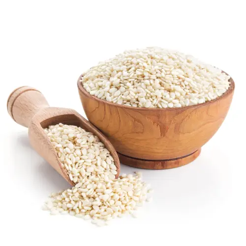Sesame Meteriles RevaNutri Protinex — Premium B2B Nutraceutical Raw Materials